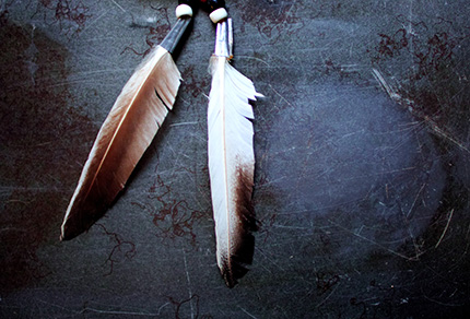 Two feathers of a medicine wheel.